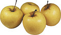 Äpple Golden Delicious