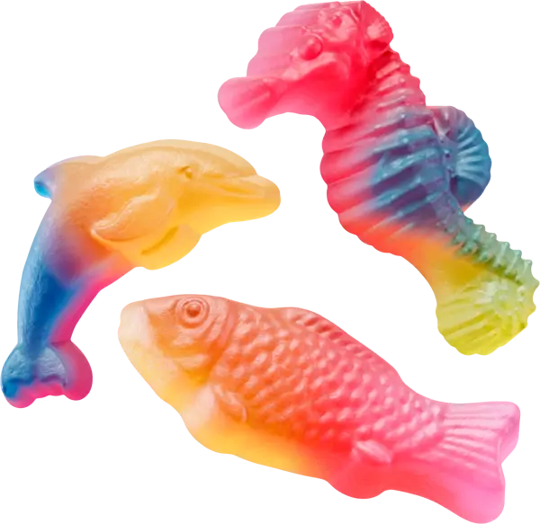 Rainbow Sea lösvikt kartong Malaco - bild 1