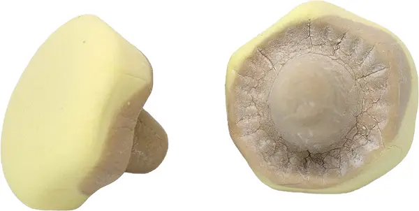 Skumsvamp Banan/Kola Franssons Konfektyrer - bild 1