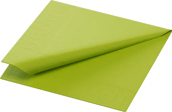 Servett 3 L Kiwi 24x24 cm Duni - bild 1