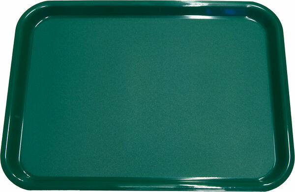 Bricka propenplast 36x28 cm grön Väbo - bild 1