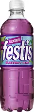 Festis Blueberry Pear Sockerfri 50 cl å-pet Carlsberg