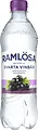 Ramlösa Svarta Vinbär 50 cl å-pet