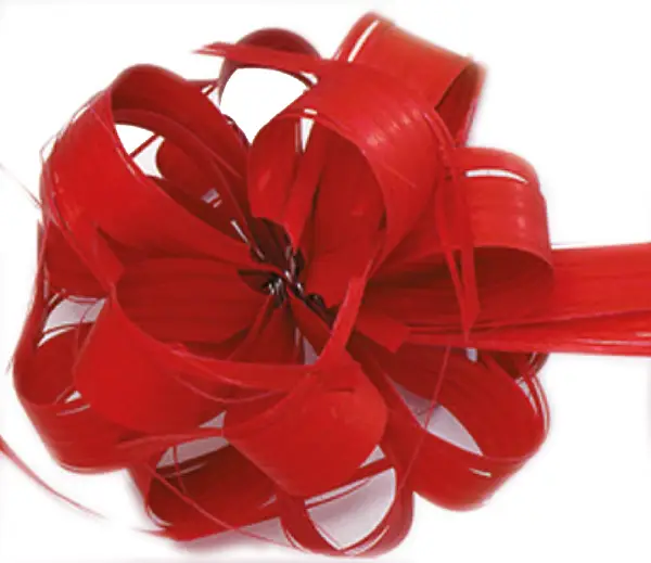 Dragbandsrosett Röd Country Bow 25 mm Molli Pack - bild 1