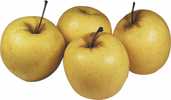Äpple Golden Delicious - bild 1