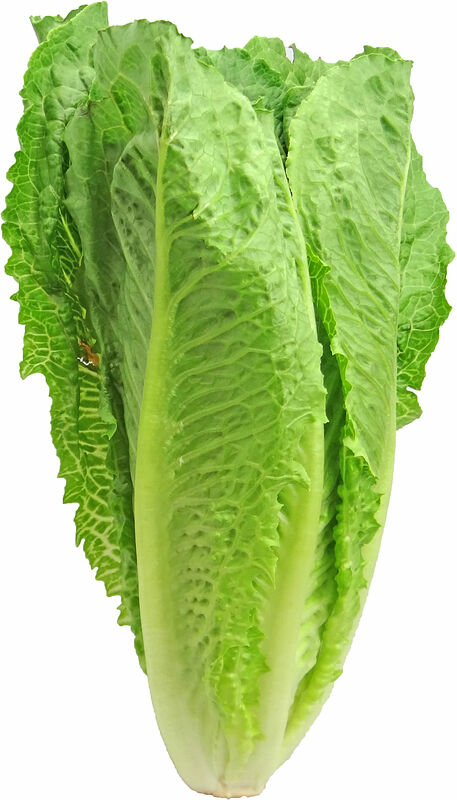 Romansallad - bild 1