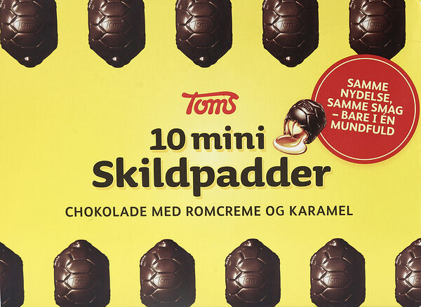 Mini Sköldpaddor Toms - bild 1