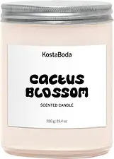 Mind Doftljus 550 gr Cactus Blossom Kosta Boda