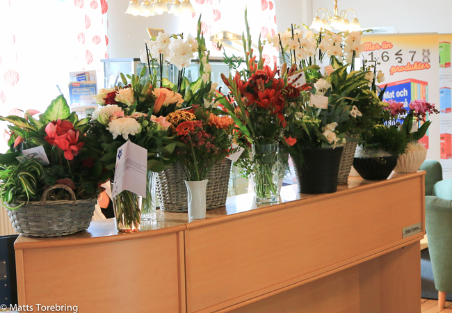 Matts Torebrings 40-&aring;rs jublieum blommor